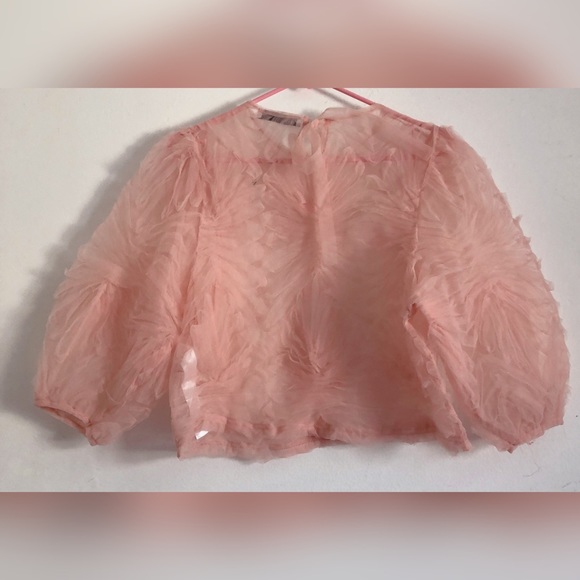 ✨ - Picture 4 of 8